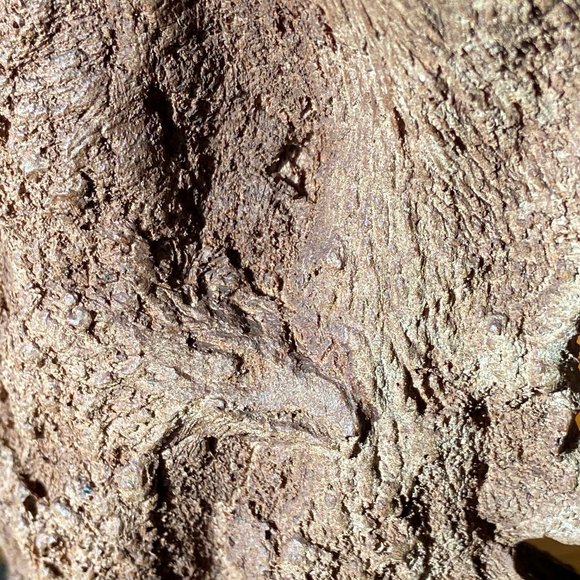 Retired Rick Cain Limited Edition ‘Dual Wolf’ Nature Sculpture #107/2000 - Picture 12 of 16